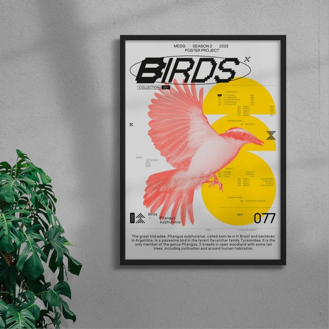 Birds