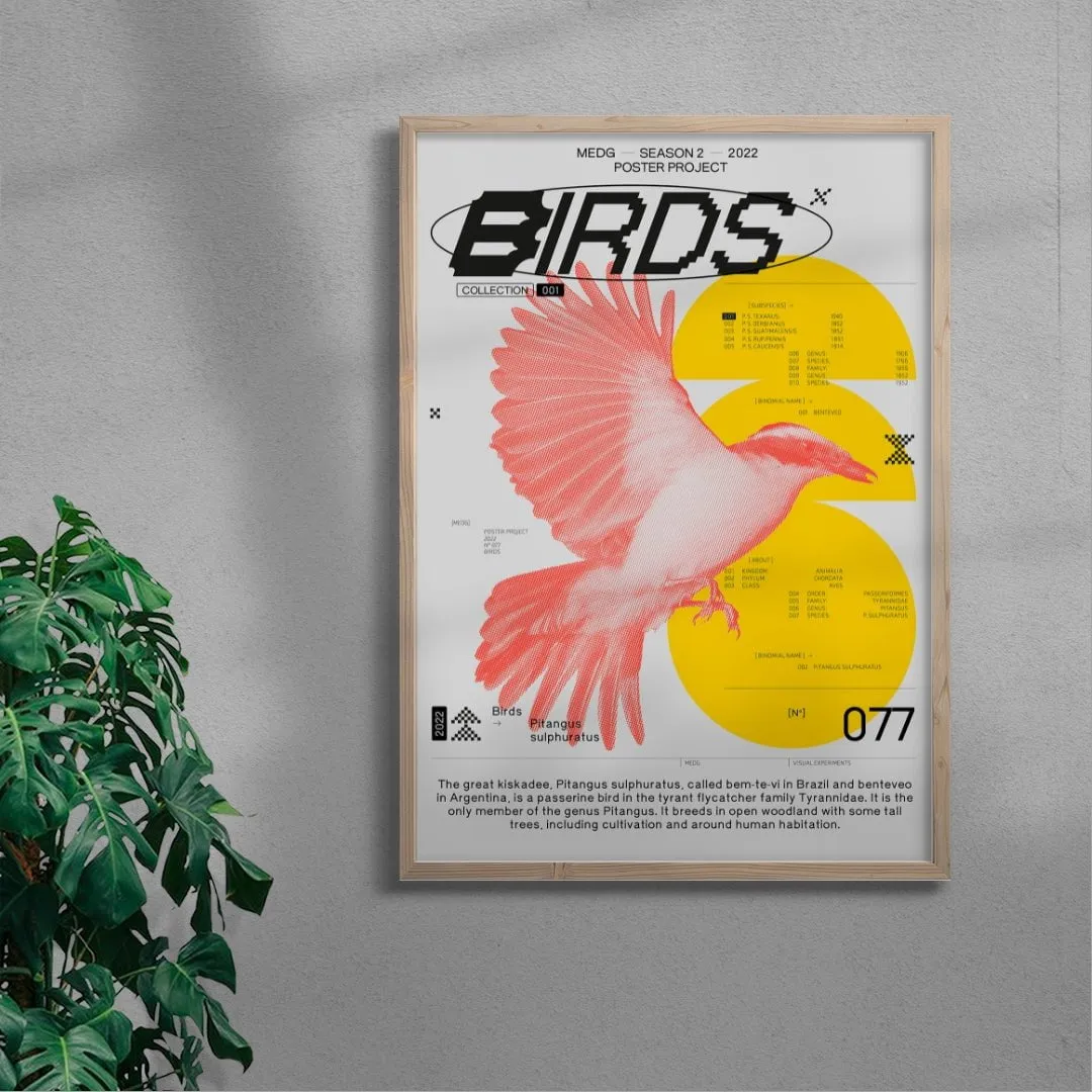 Birds