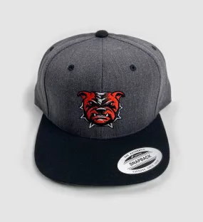 Cleveland Dawg Snapback - Charcoal/Black